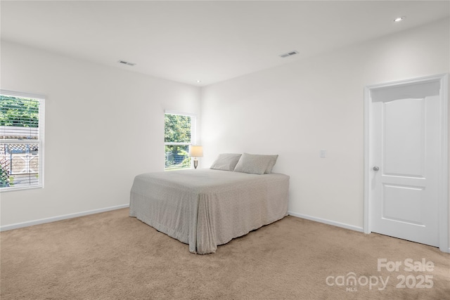 13516 Mallard Lake Rd, Charlotte, NC 28262 - photo 44