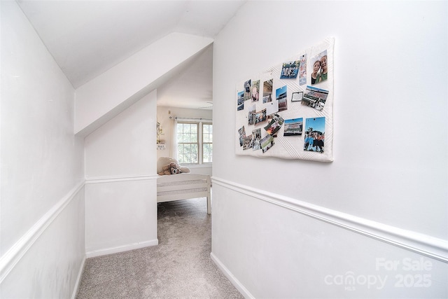 1482 Willow Oaks Trl, Matthews, NC 28104 - corridor featuring carpet floors and lofted ceiling