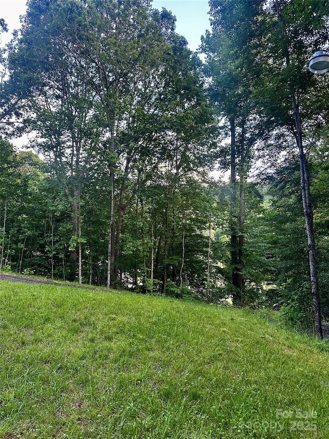 997 Hoot Owl Rd, Spruce Pine, NC 28777