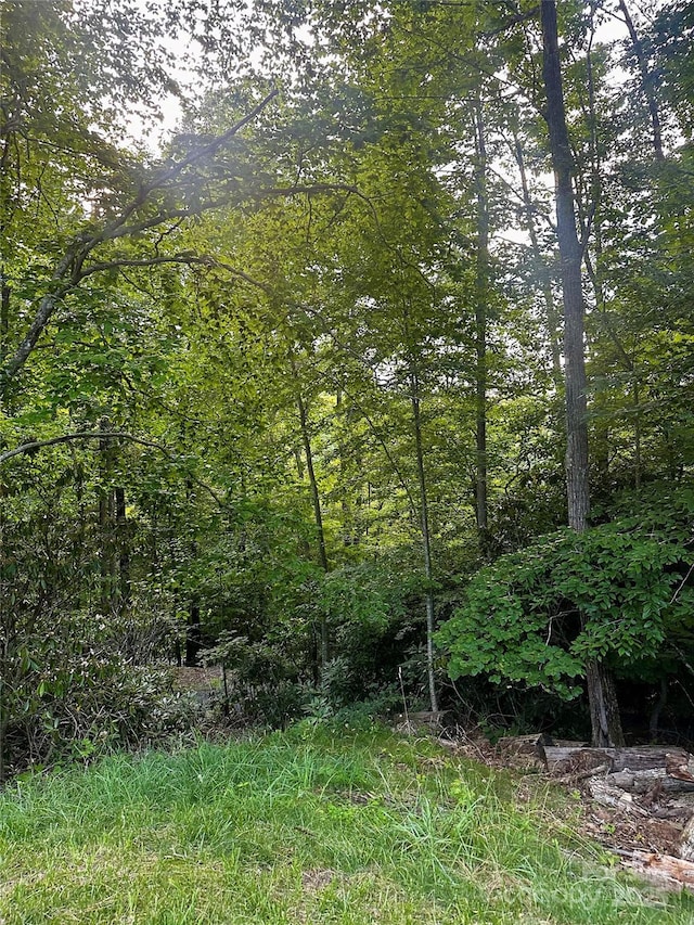 997 Hoot Owl Rd, Spruce Pine, NC 28777