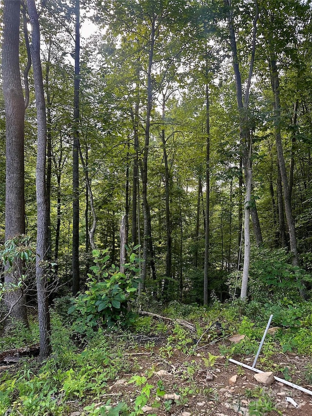 997 Hoot Owl Rd, Spruce Pine, NC 28777