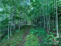 997 Hoot Owl Rd, Spruce Pine, NC 28777