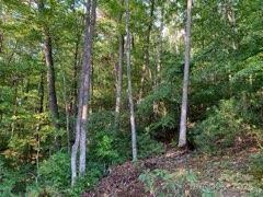 997 Hoot Owl Rd, Spruce Pine, NC 28777