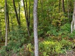 997 Hoot Owl Rd, Spruce Pine, NC 28777