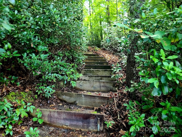 00 Lake Adger Pkwy Lot 7, Mill Spring, NC 28756