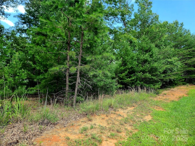 00 Lake Adger Pkwy Lot 7, Mill Spring, NC 28756