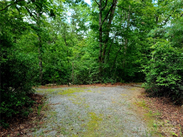 00 Lake Adger Pkwy Lot 7, Mill Spring, NC 28756
