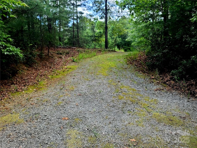 00 Lake Adger Pkwy Lot 7, Mill Spring, NC 28756