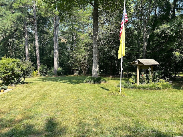 124 Blue Ridge Dr, Rutherfordton, NC 28139 - photo 5