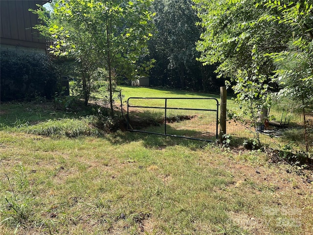 124 Blue Ridge Dr, Rutherfordton, NC 28139 - photo 43