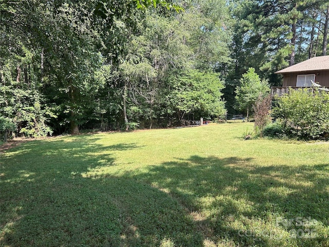 124 Blue Ridge Dr, Rutherfordton, NC 28139 - photo 41