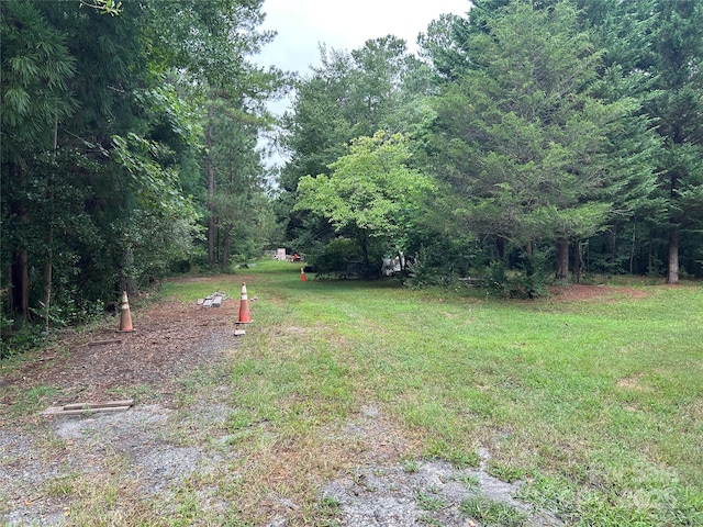 124 Blue Ridge Dr, Rutherfordton, NC 28139 - photo 45