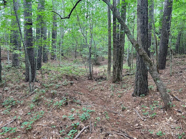 124 Blue Ridge Dr, Rutherfordton, NC 28139 - photo 46