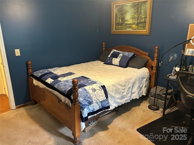 124 Blue Ridge Dr, Rutherfordton, NC 28139 - photo 33