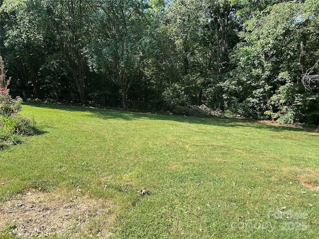 124 Blue Ridge Dr, Rutherfordton, NC 28139 - photo 42