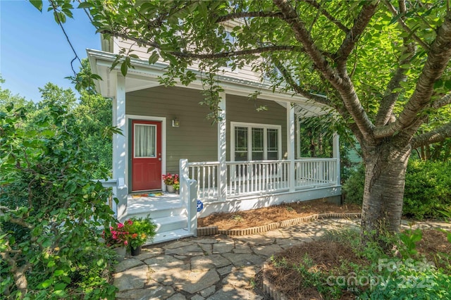 20 Cross Pl Unit 3, Asheville, NC 28801 - photo 5