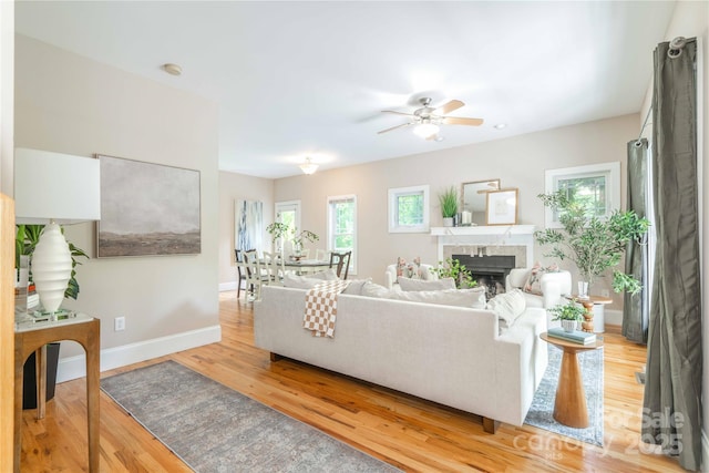 20 Cross Pl Unit 3, Asheville, NC 28801 - photo 8