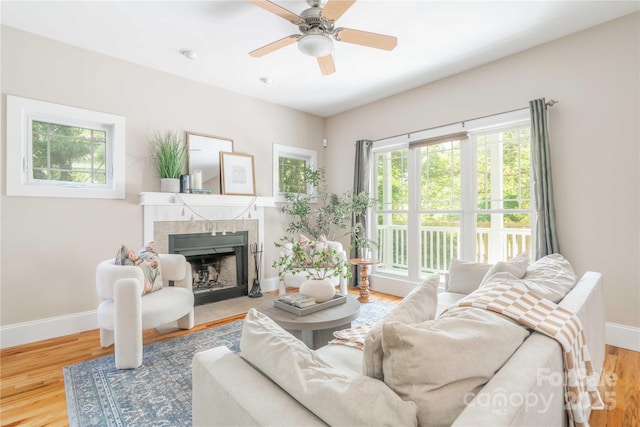 20 Cross Pl Unit 3, Asheville, NC 28801 - photo 10