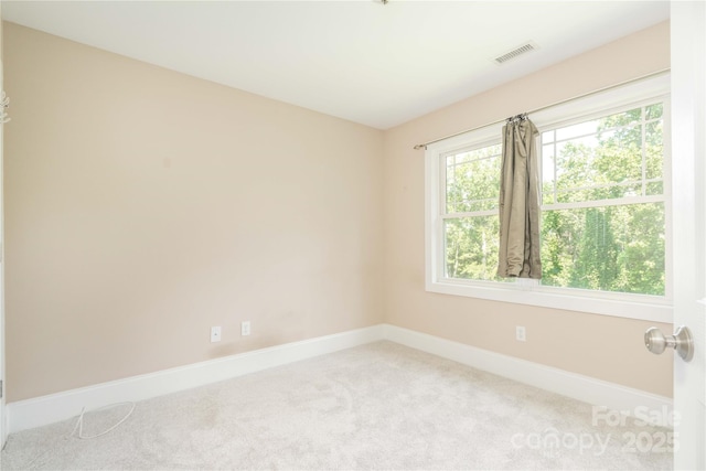 20 Cross Pl Unit 3, Asheville, NC 28801 - photo 31