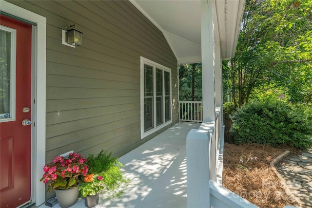 20 Cross Pl Unit 3, Asheville, NC 28801 - photo 43
