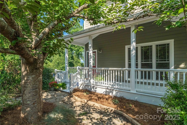 20 Cross Pl Unit 3, Asheville, NC 28801 - photo 44