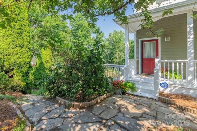 20 Cross Pl Unit 3, Asheville, NC 28801 - photo 45