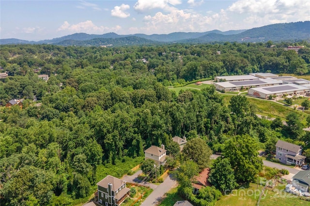 20 Cross Pl Unit 3, Asheville, NC 28801 - photo 46