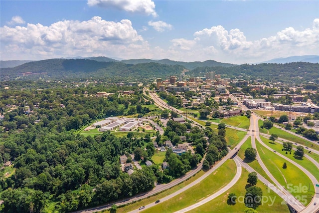 20 Cross Pl Unit 3, Asheville, NC 28801 - photo 47