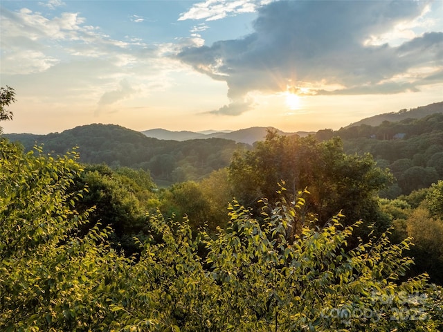1065 Oak Ridge Ln, Mars Hill, NC 28754 - view of mountain background with a heavily wooded area