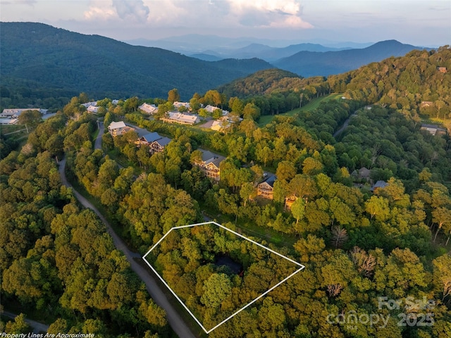 1065 Oak Ridge Ln, Mars Hill, NC 28754 - aerial view of property's location with property parcel outlined and a mountainous background