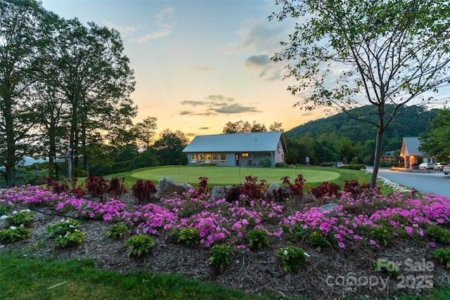 1065 Oak Ridge Ln, Mars Hill, NC 28754 - view of grassy yard