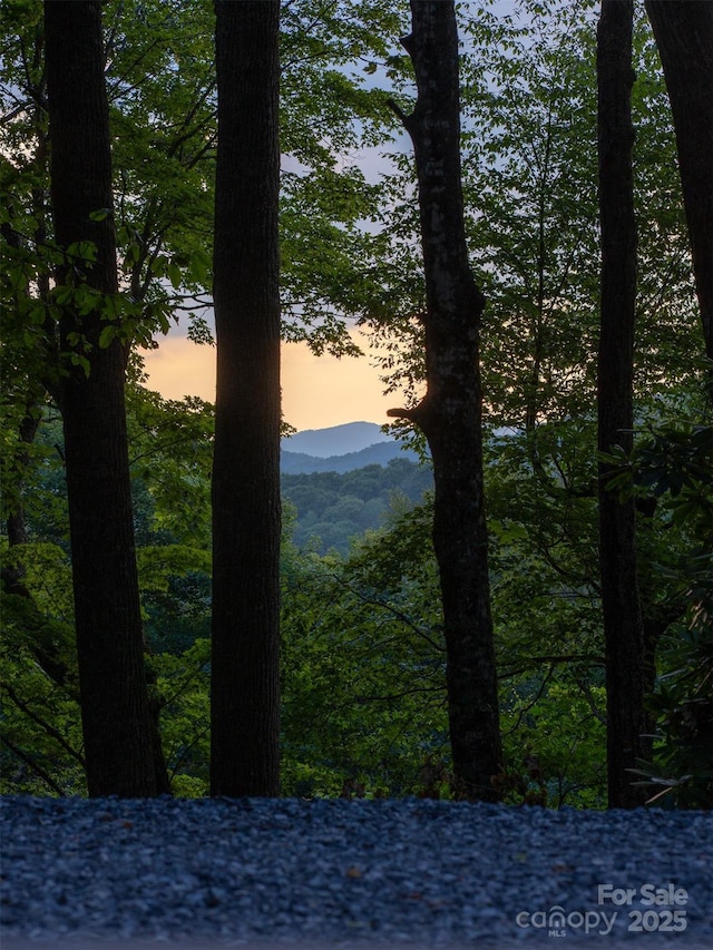 1065 Oak Ridge Ln, Mars Hill, NC 28754 - water view with a mountain backdrop