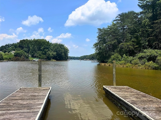 4909 Emma Love Ln, Denver, NC 28037 - photo 2