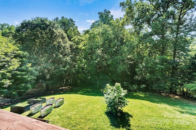 3450 4th Street Blvd NW, Hickory, NC 28601 - view of grassy yard