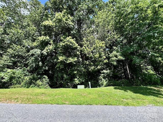 35 Ladys Fern Trl, Hendersonville, NC 28739 - photo 1