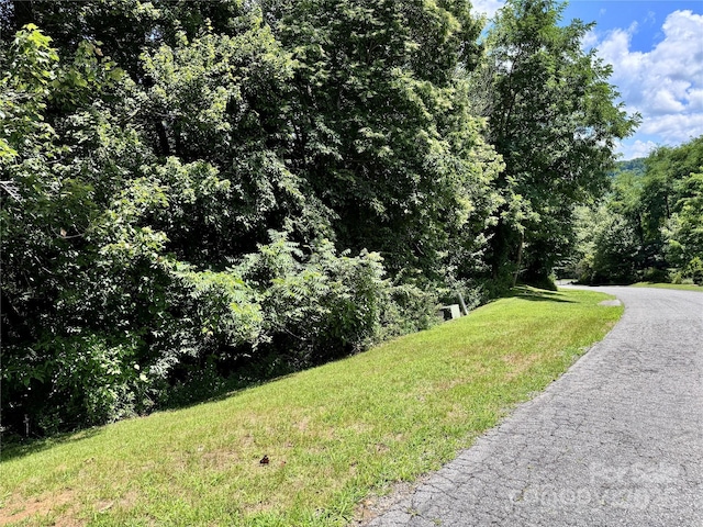 35 Ladys Fern Trl, Hendersonville, NC 28739 - photo 3