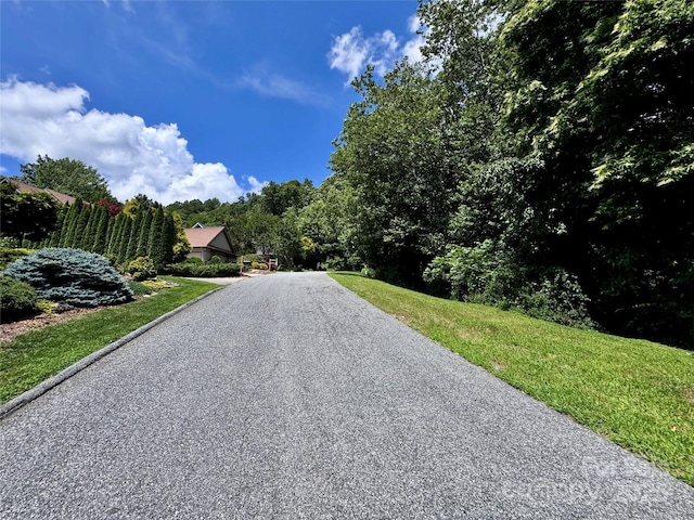 35 Ladys Fern Trl, Hendersonville, NC 28739 - photo 4