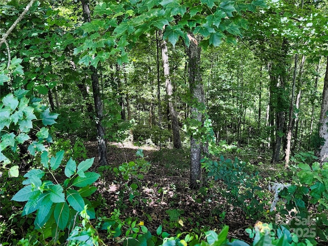 35 Ladys Fern Trl, Hendersonville, NC 28739 - photo 5
