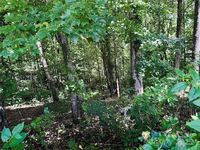 35 Ladys Fern Trl, Hendersonville, NC 28739 - photo 6
