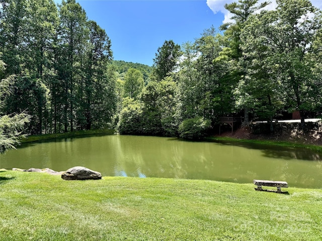 35 Ladys Fern Trl, Hendersonville, NC 28739 - photo 10