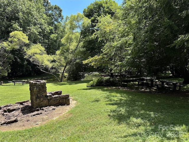 35 Ladys Fern Trl, Hendersonville, NC 28739 - photo 12