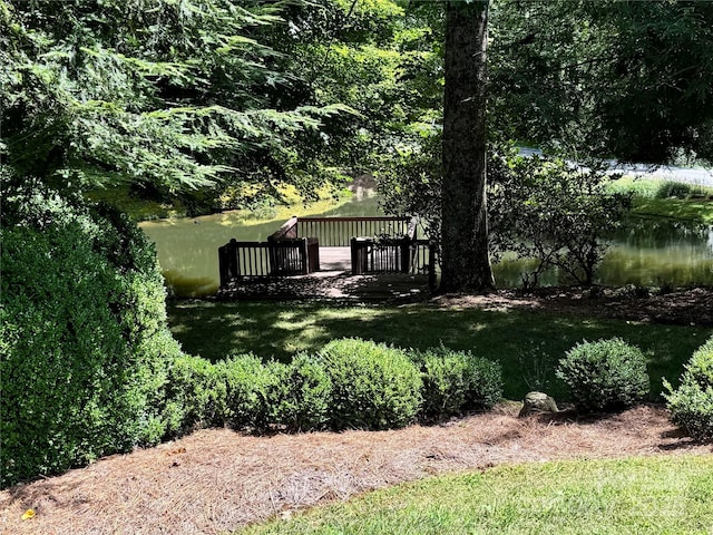 35 Ladys Fern Trl, Hendersonville, NC 28739 - photo 15