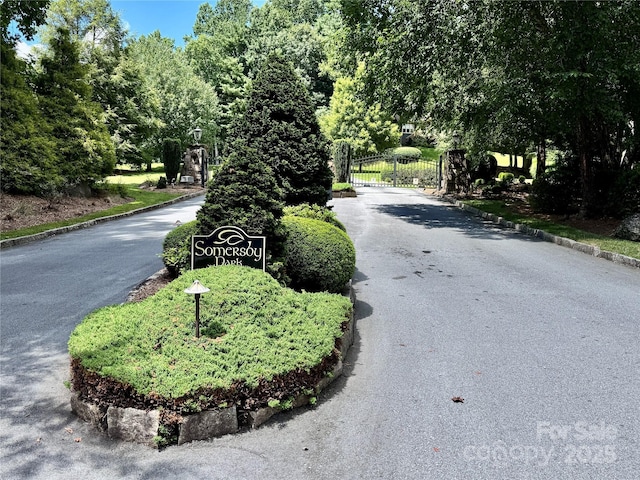 35 Ladys Fern Trl, Hendersonville, NC 28739 - photo 17