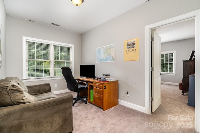 7602 Windsor Forest Pl, Harrisburg, NC 28075 - photo 24