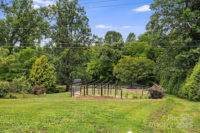 211 Hamburg Mountain Rd, Weaverville, NC 28787 - photo 45