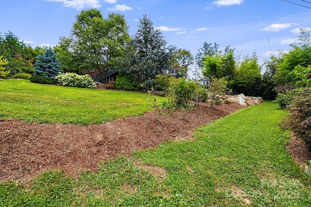 211 Hamburg Mountain Rd, Weaverville, NC 28787 - photo 46