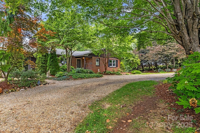 211 Hamburg Mountain Rd, Weaverville, NC 28787 - photo 48