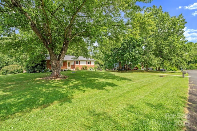 19 Fairhaven Ct, Asheville, NC 28803 - photo 32