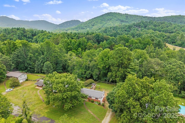 19 Fairhaven Ct, Asheville, NC 28803 - photo 34