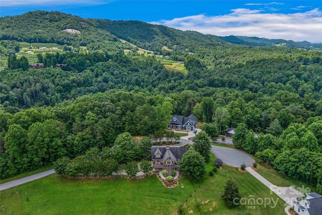112 Sunny Morning Ct, Hendersonville, NC 28792 - photo 4